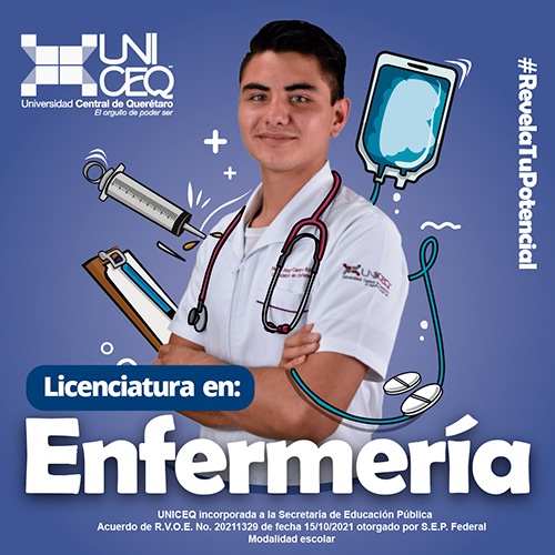 licenciatura