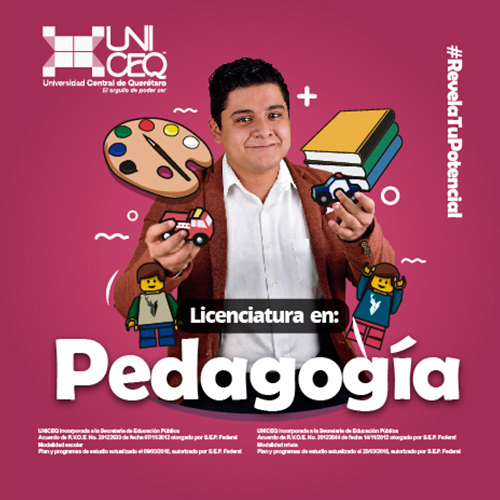 licenciatura
